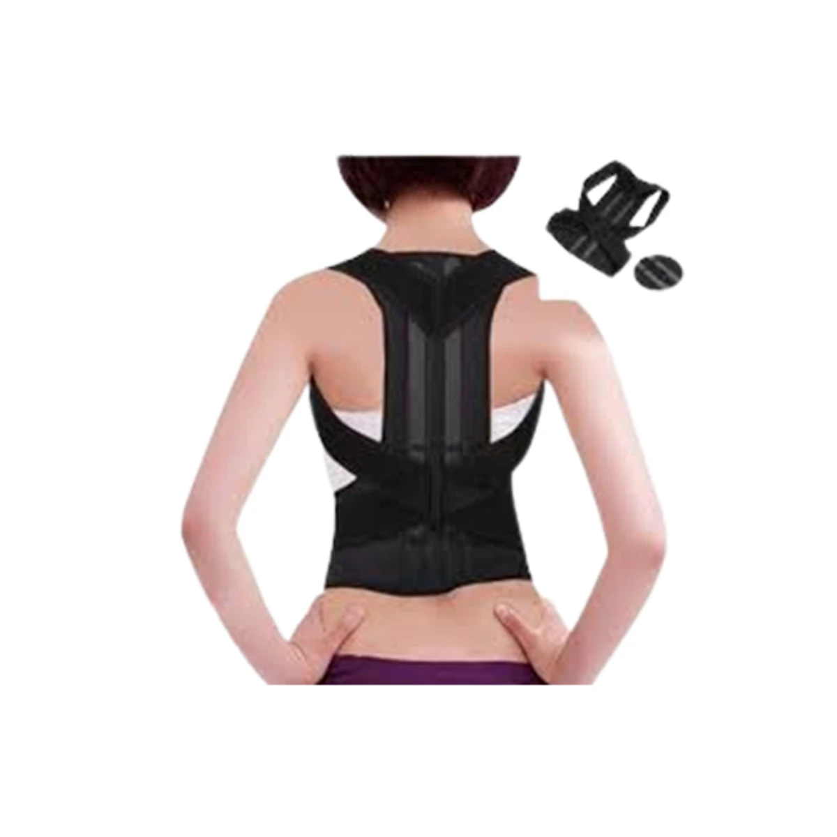 Back Support Belt