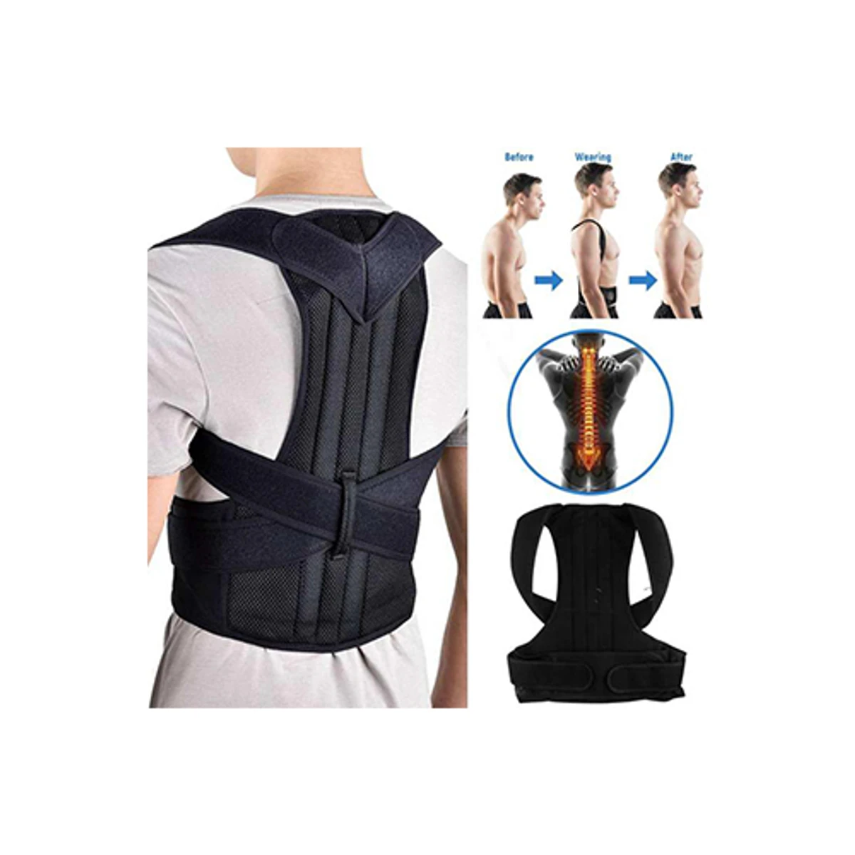 Back Support Belt